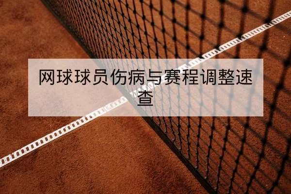 网球球员伤病与赛程调整速查